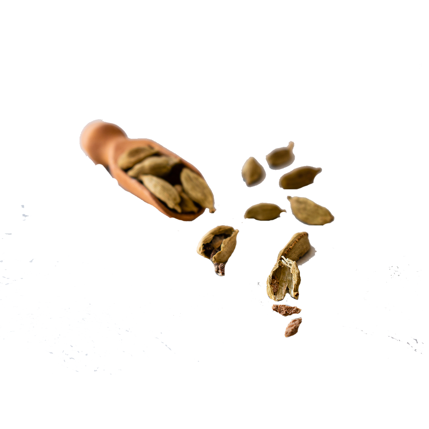 Cardamom